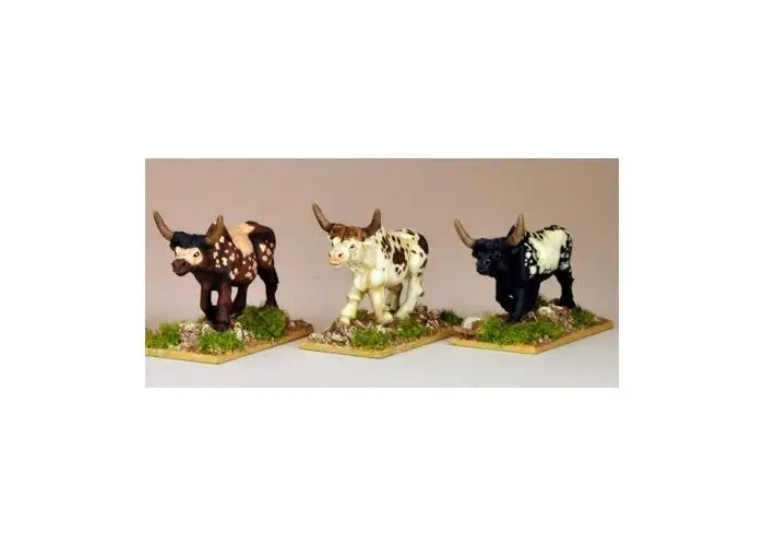 African Cattle