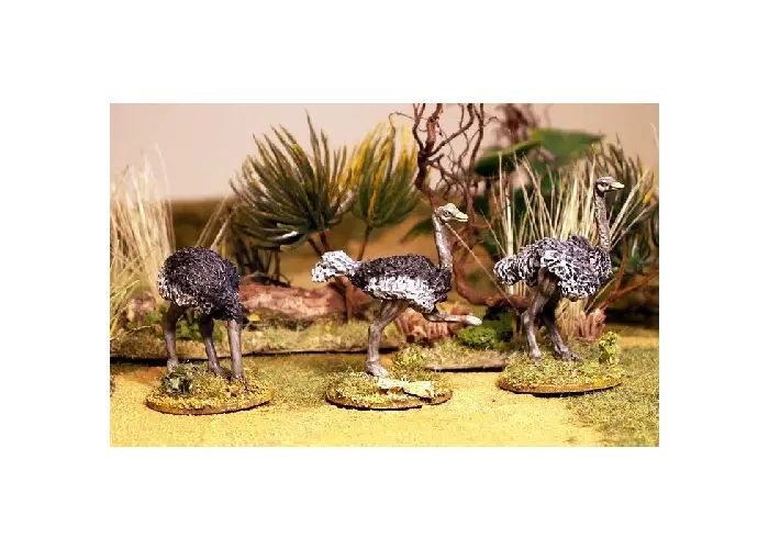 Ostrich