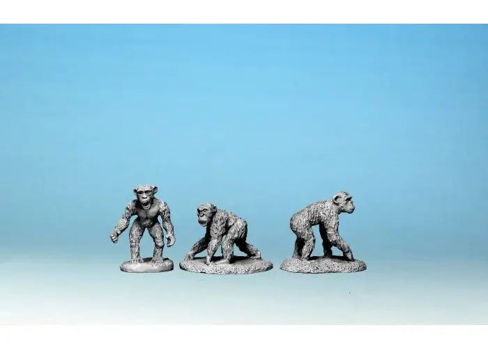 Chimpanzees