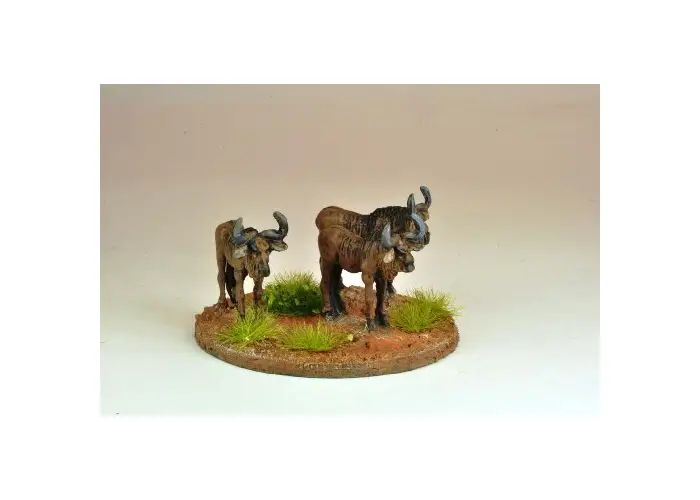 Gnu / Wildebeest