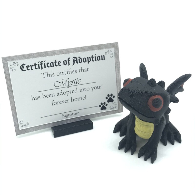 Adopt a Baby Dragon - Mystic