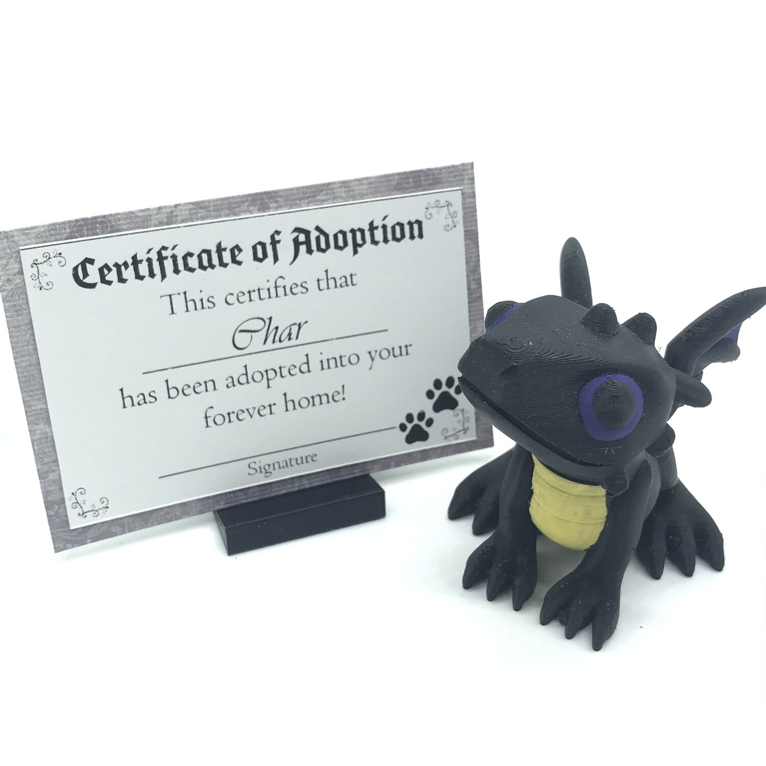 Adopt a Baby Dragon - Char
