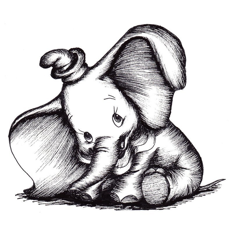Elephant drawing