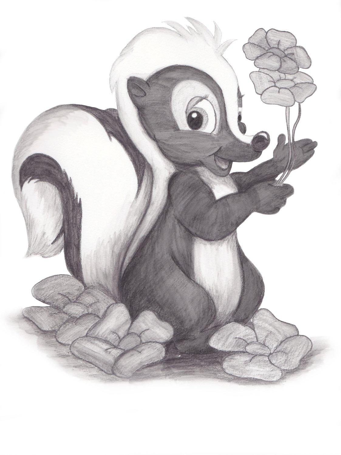 Skunk drawing