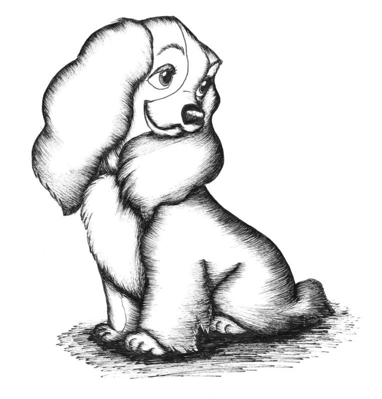 Dog drawing