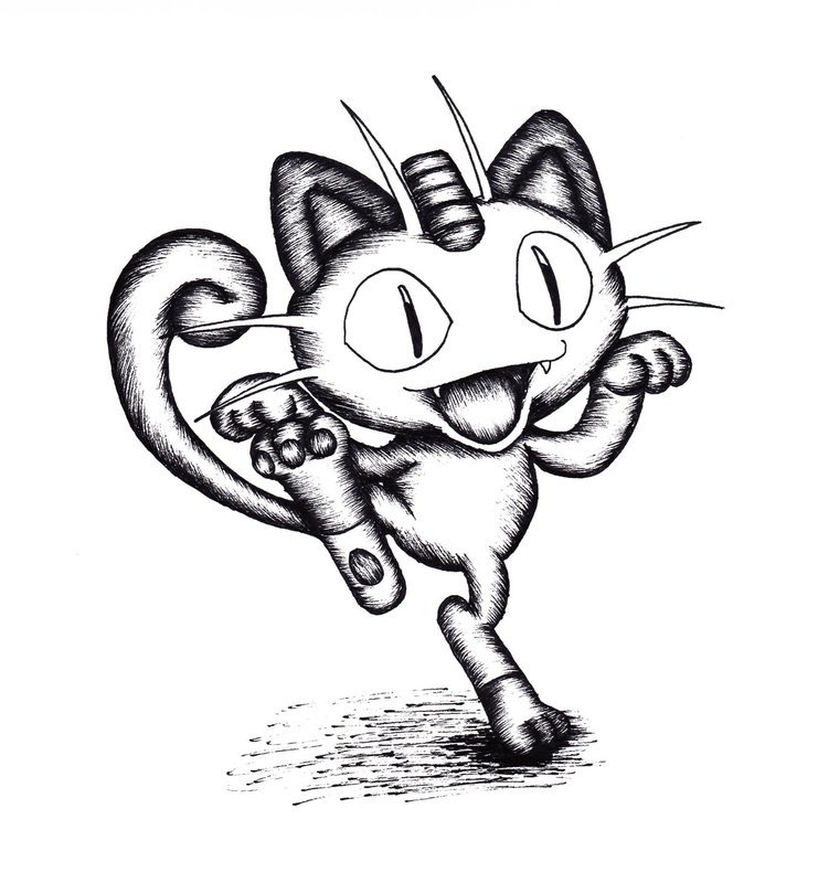 Cat drawing
