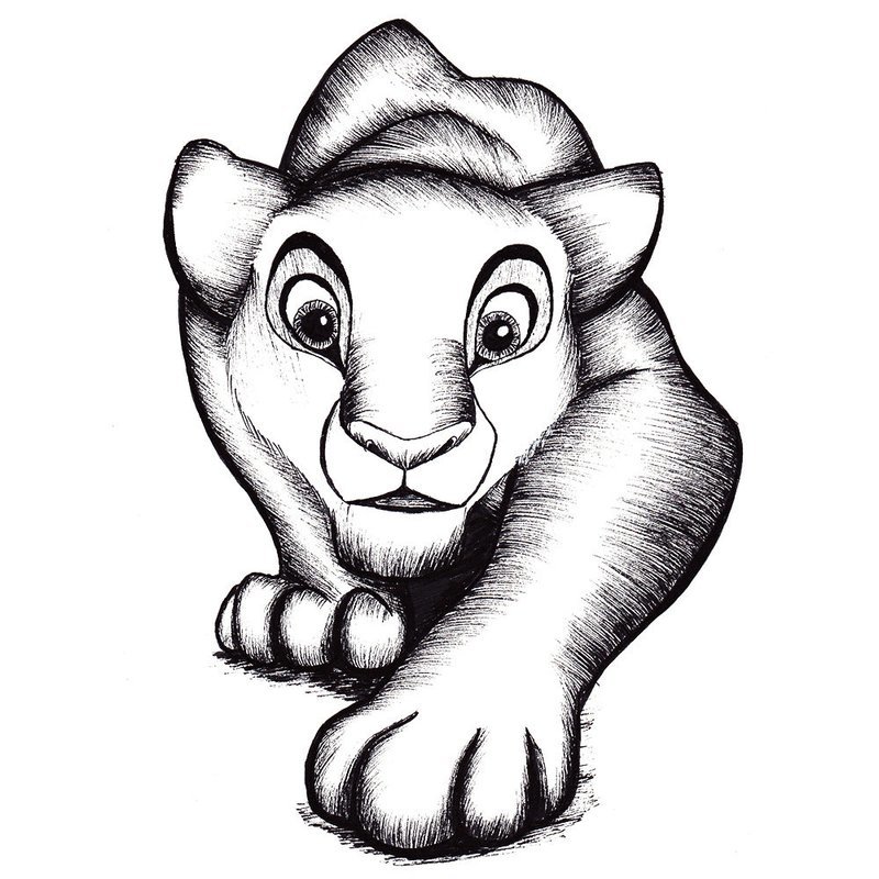 Lioness drawing
