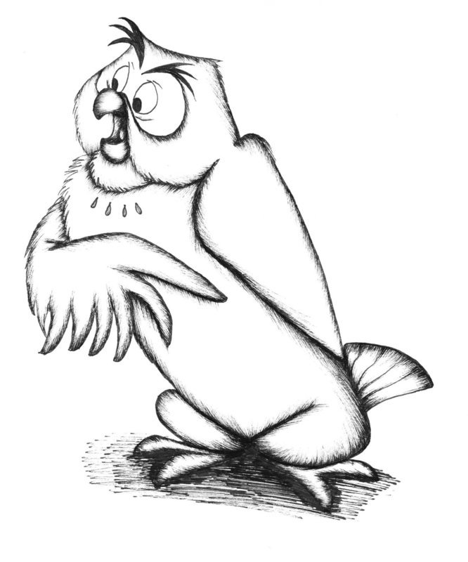 Owl drawing