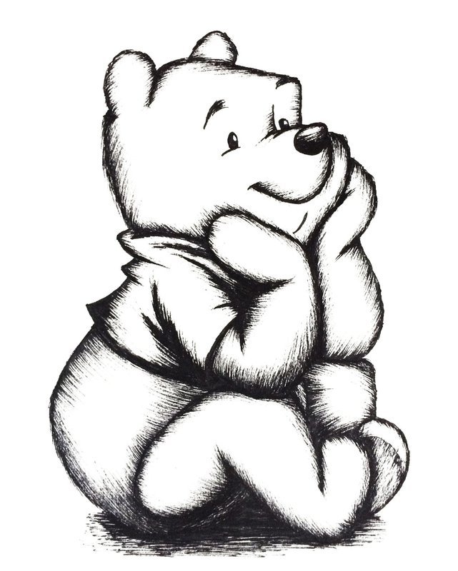 Bear drawing