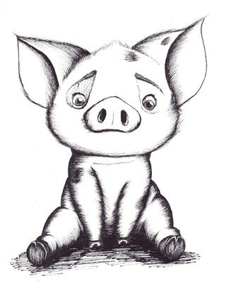 Pig drawing