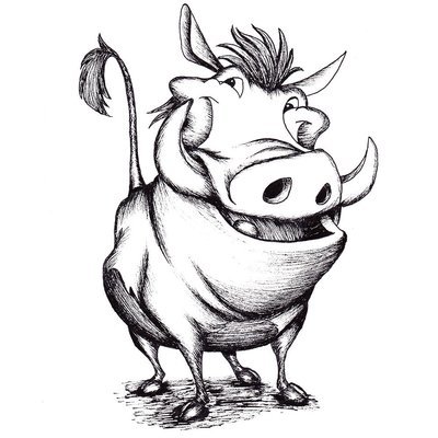 Warthog drawing