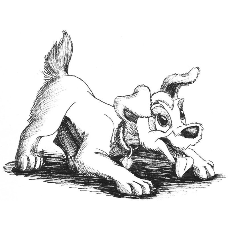 Dog drawing