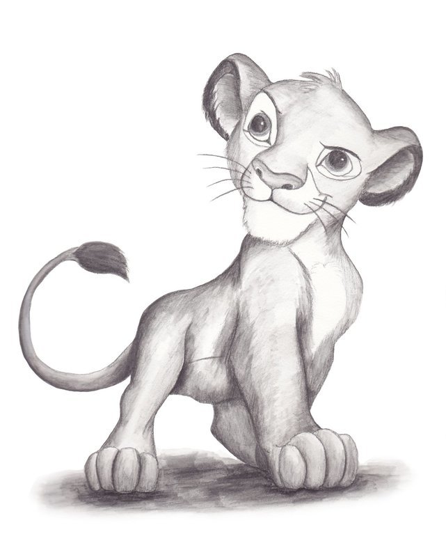 Cub drawing