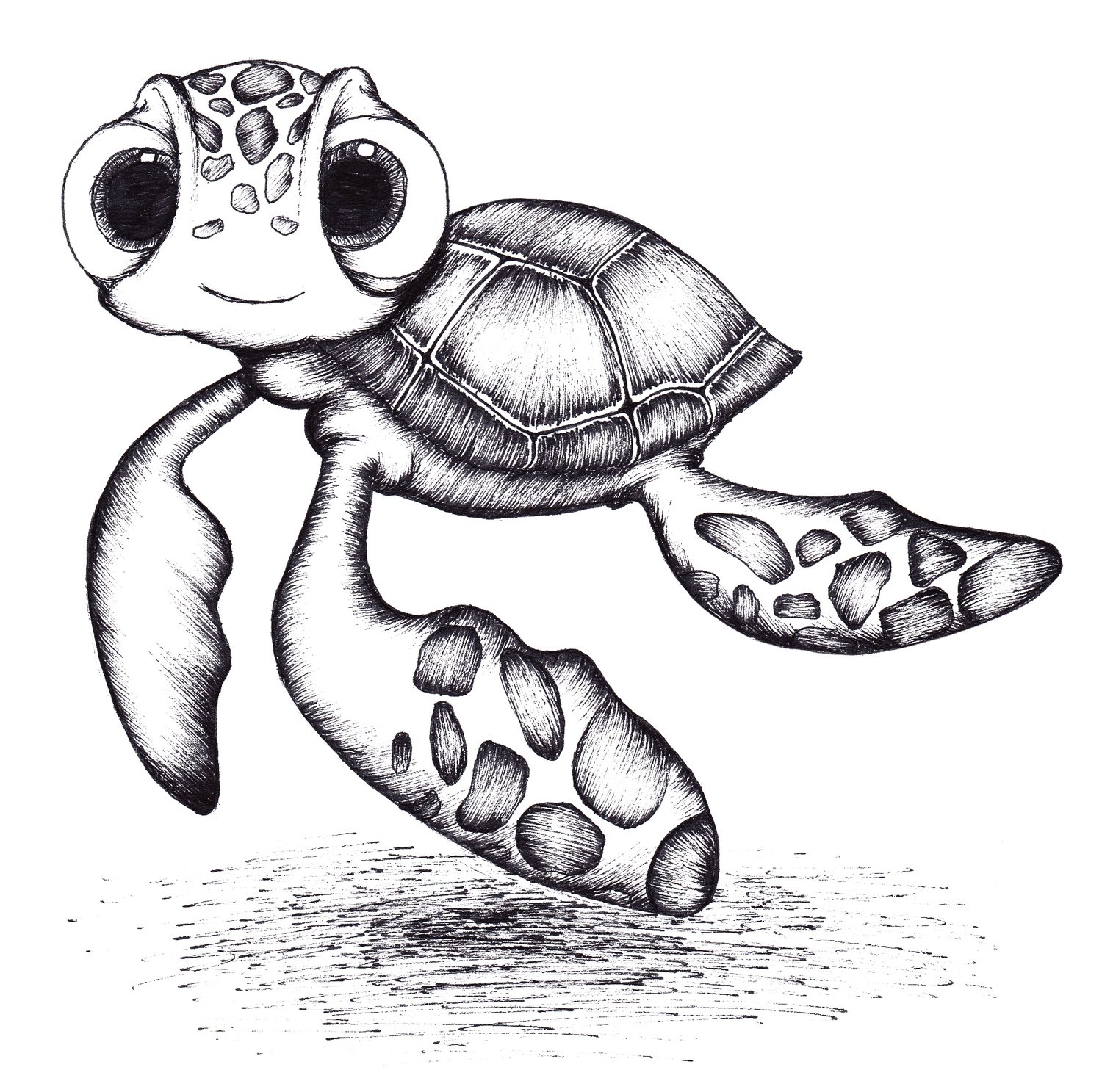 Turtle drawing