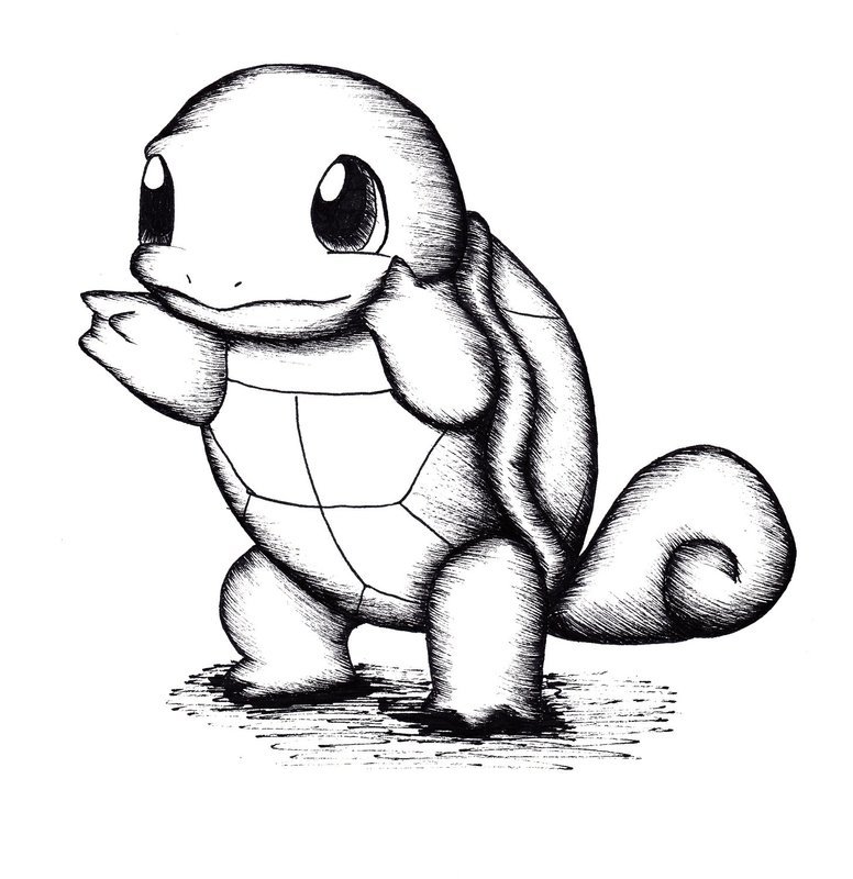 Turtle drawing