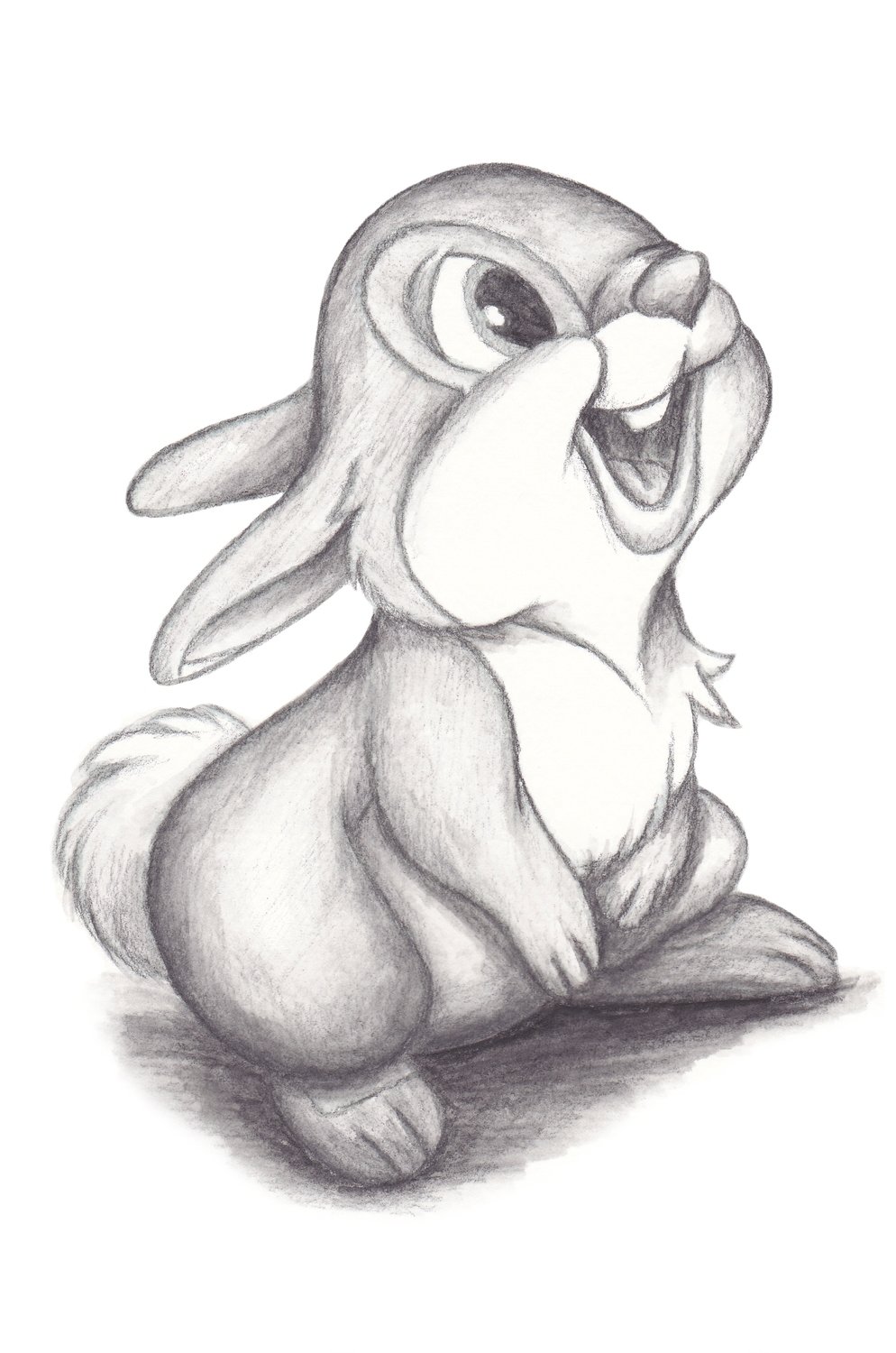 Rabbit drawing