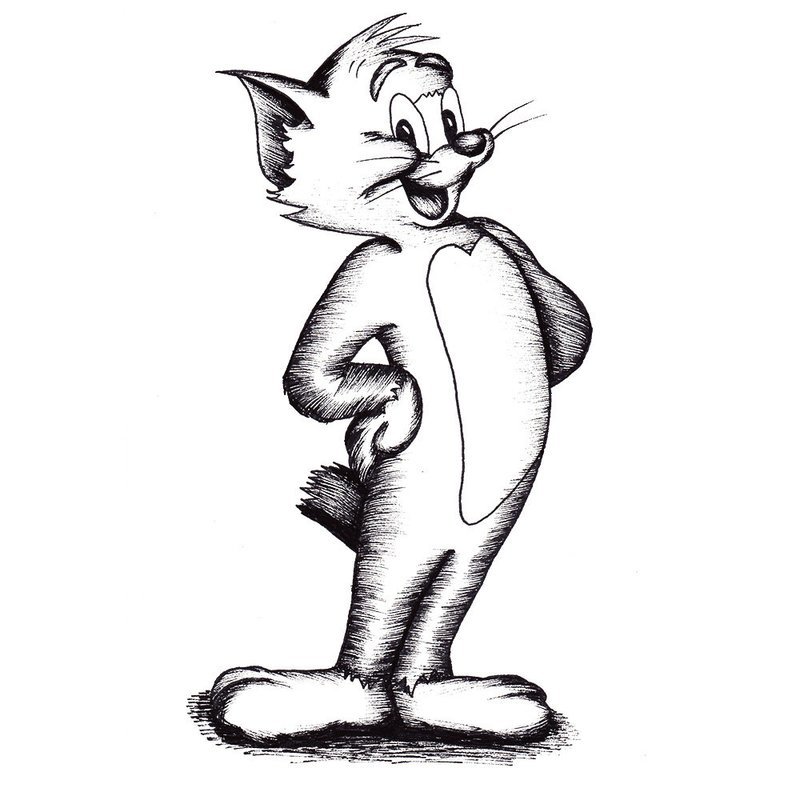 Cat drawing