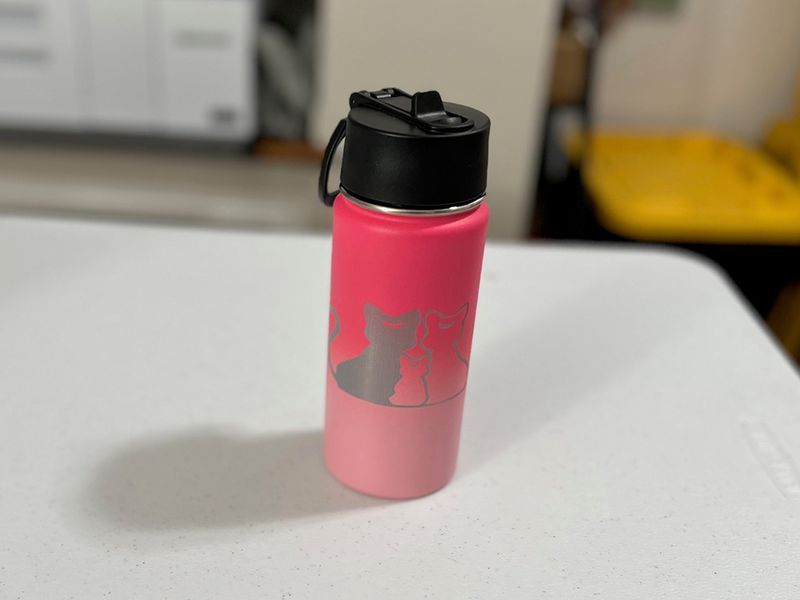 16 oz Steel Tumbler - Cats