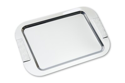 Rectangular Stainless Steel Trays