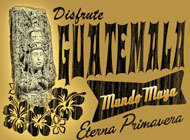 Magnet HMA016
