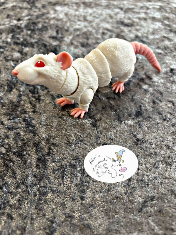 Ratte weiß