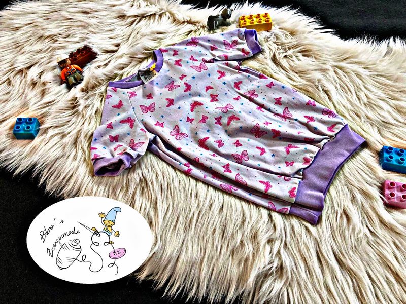 Schmetterling Schmetterling