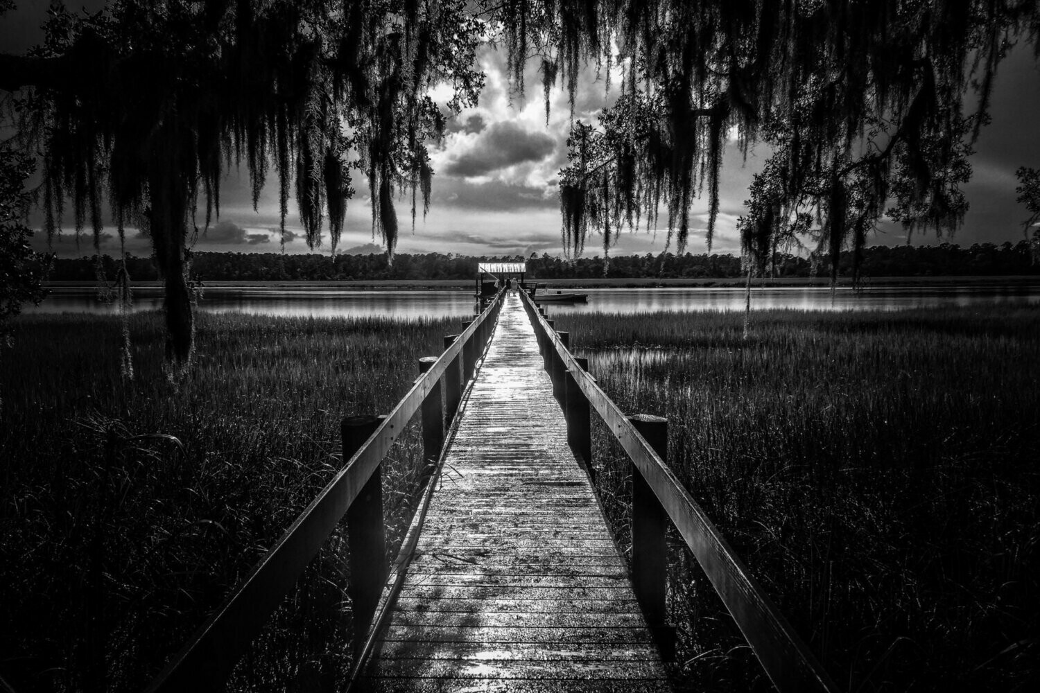 Lowcountry Afternoon, Yemassee, South Carolina