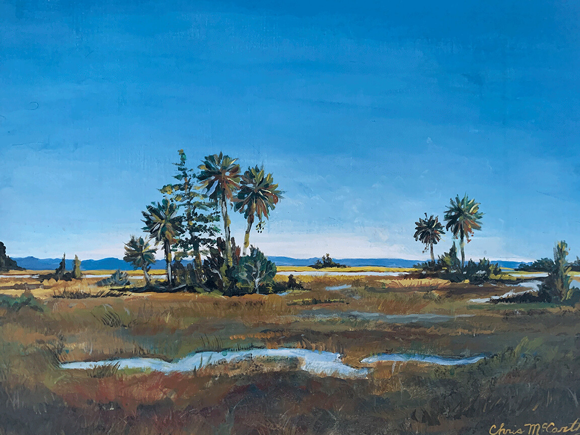 Lowcountry Marsh Isle Lowcountry Marsh Isle