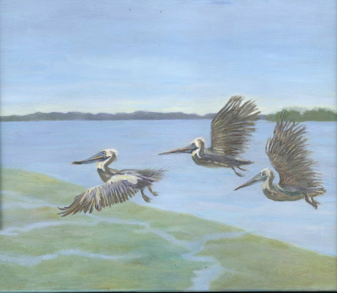 "Pelicans in Flight" by Jeny McCullough