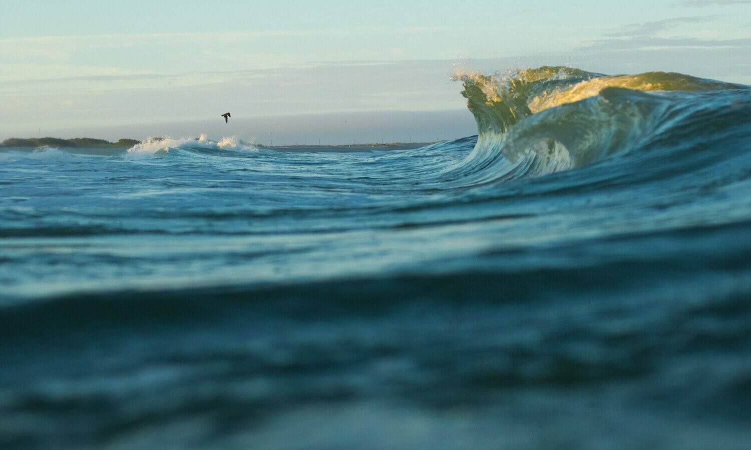 "Synchronized Energy"