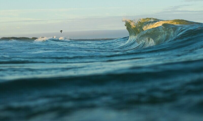 "Synchronized Energy"