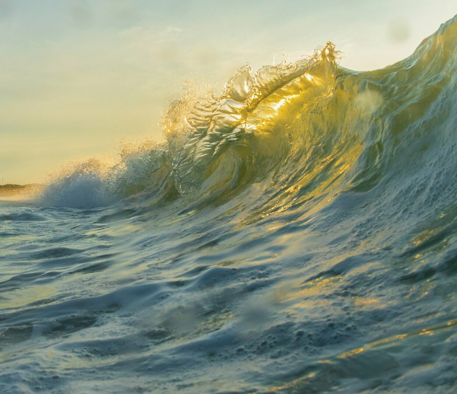 "A Dolphin Dancing With The Light"