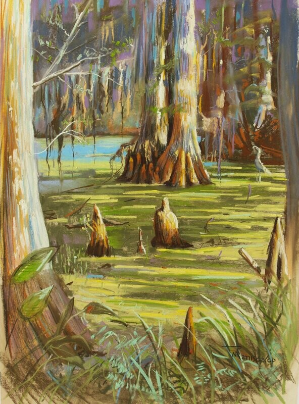 "Swamp Tour"