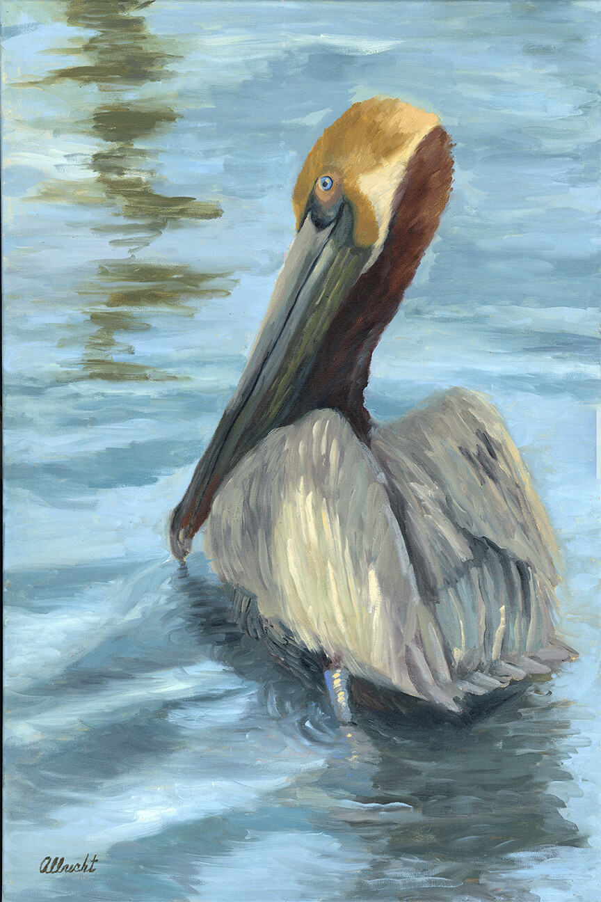 "Pesky Pelican" by John Albrecht