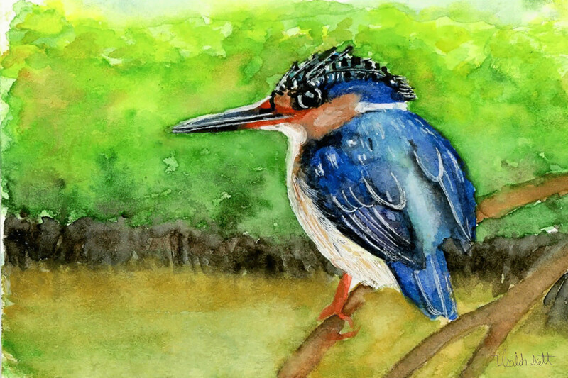 "Kingfisher" by Isaiah Scott