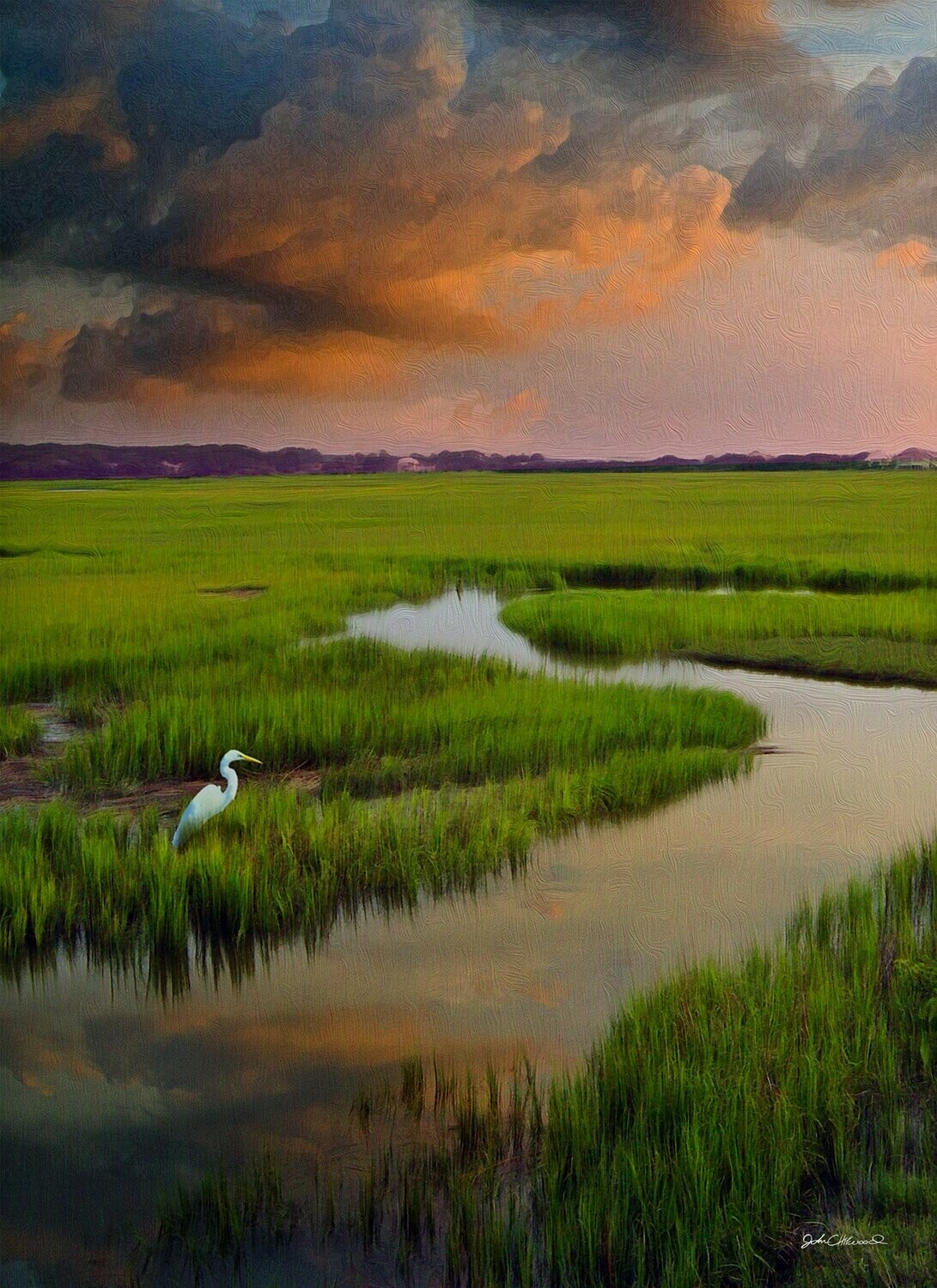 "Cloud Watcher"