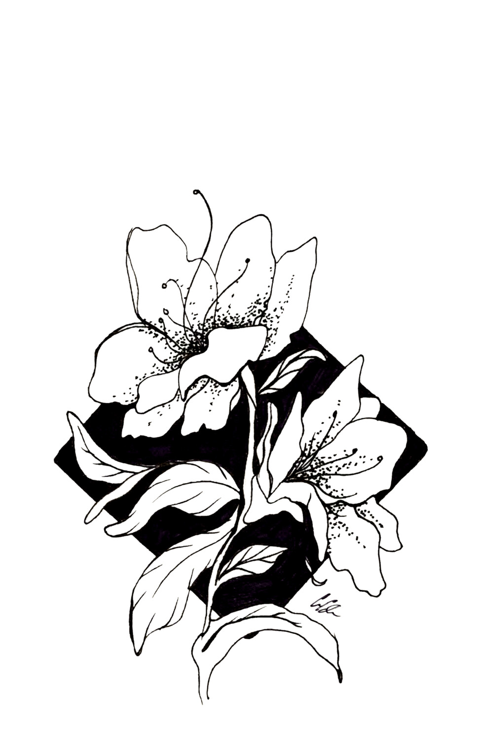 "Crooked" by Anna Adamson