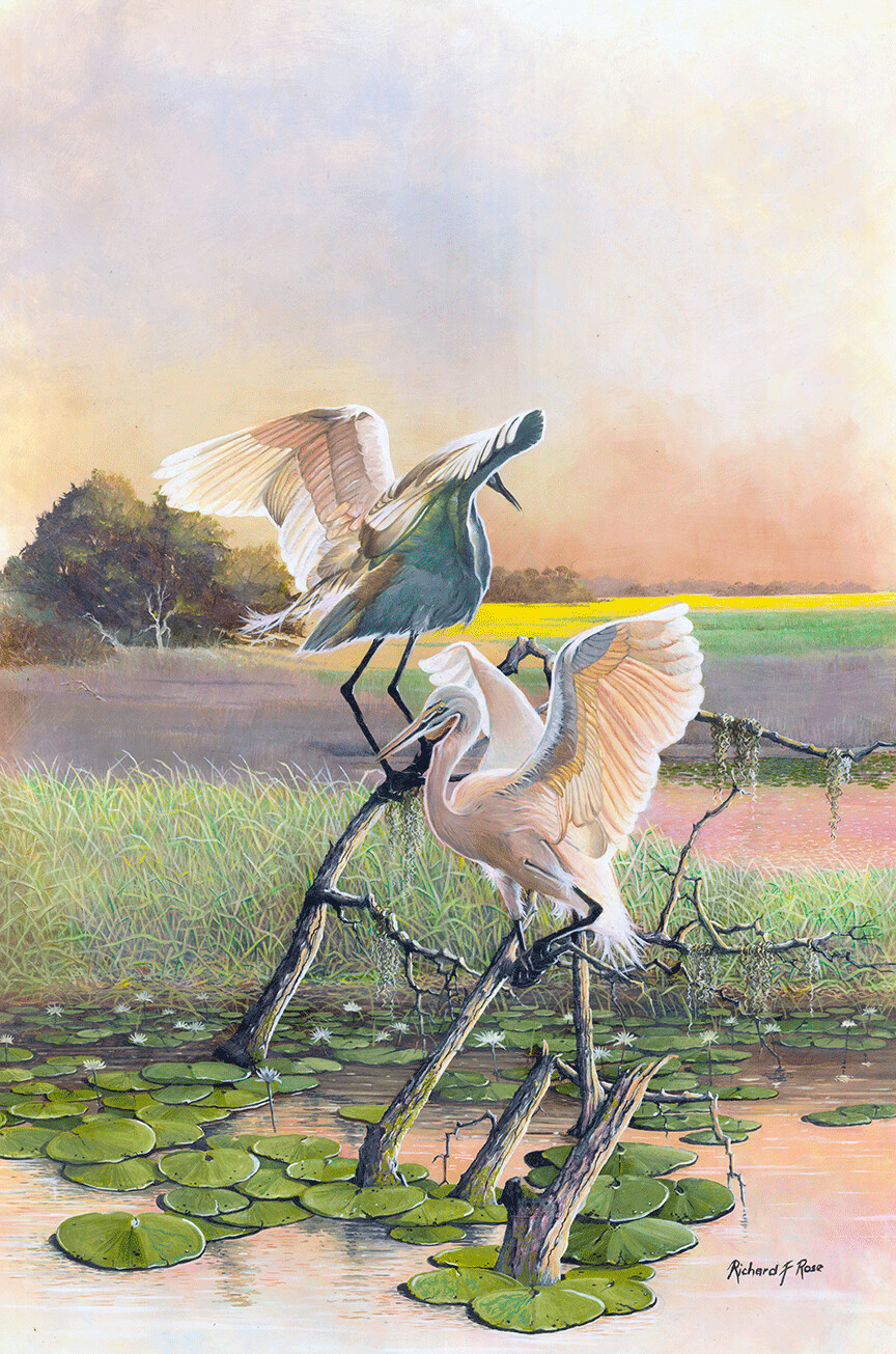"Egrets" by Richard F. Rose