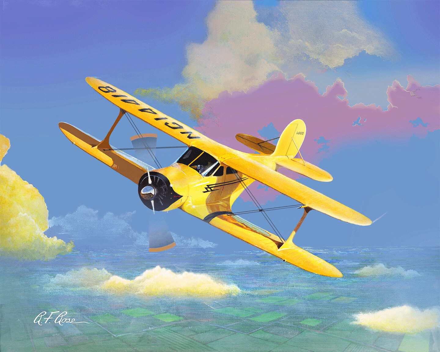 "Biplane" by Richard F. Rose