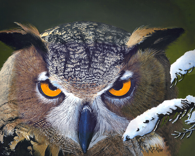 "Great Horned Owl" by Richard F. Rose