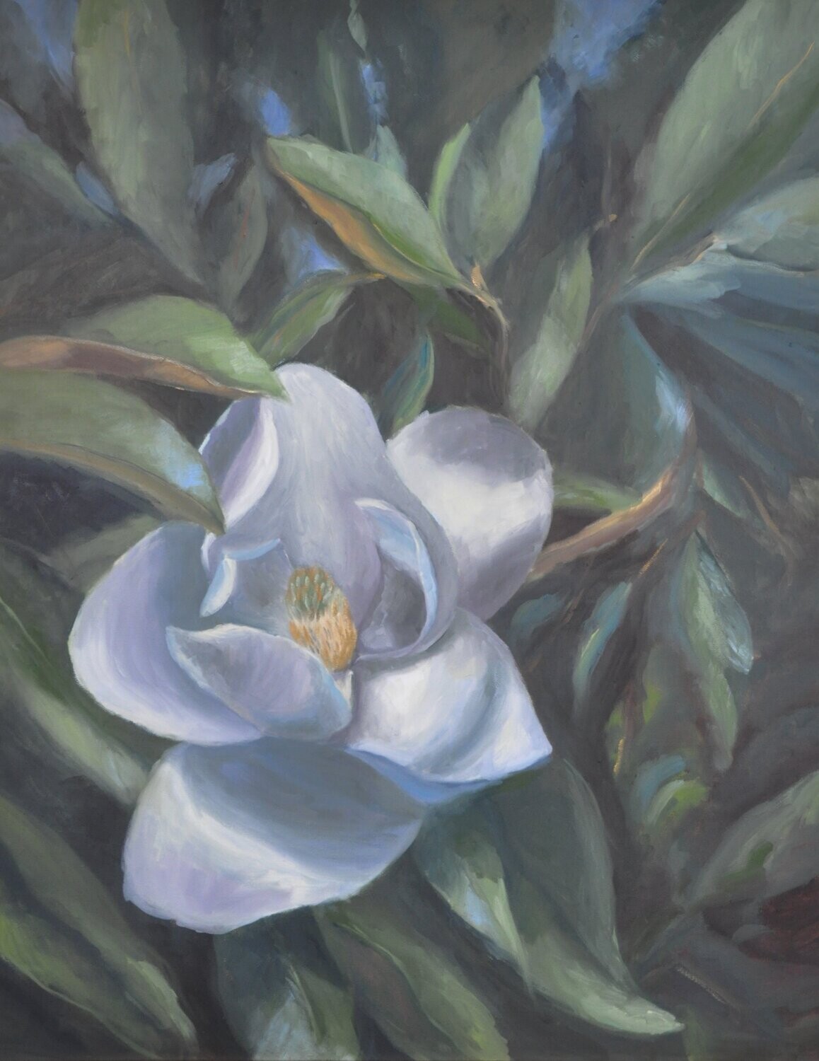 "Marion Magnolia" by John Albrecht