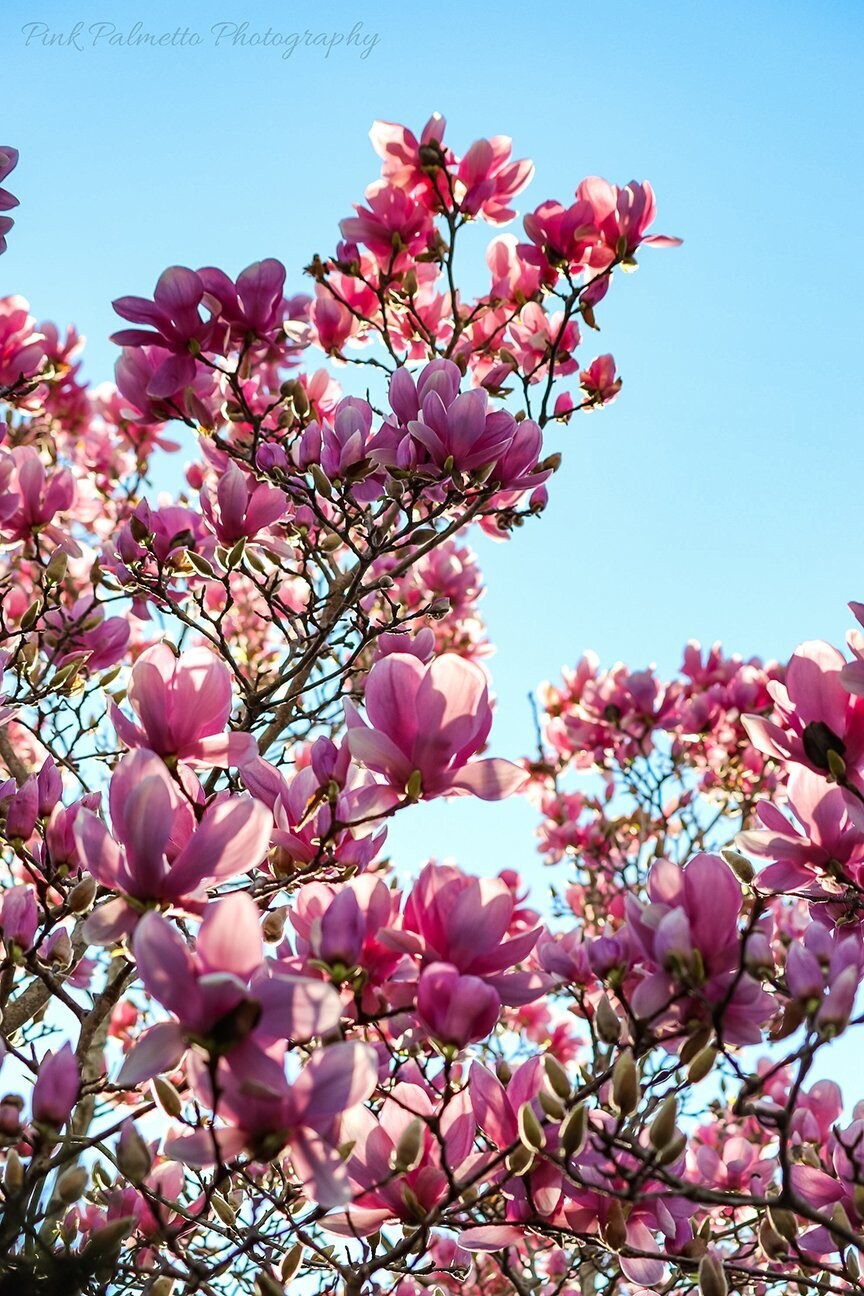"A Spring March Day" by Leann Weimar