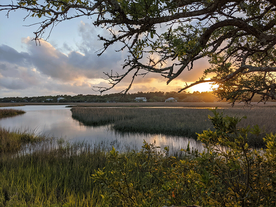 "Tidal Marsh Sunset" by Anna Minner