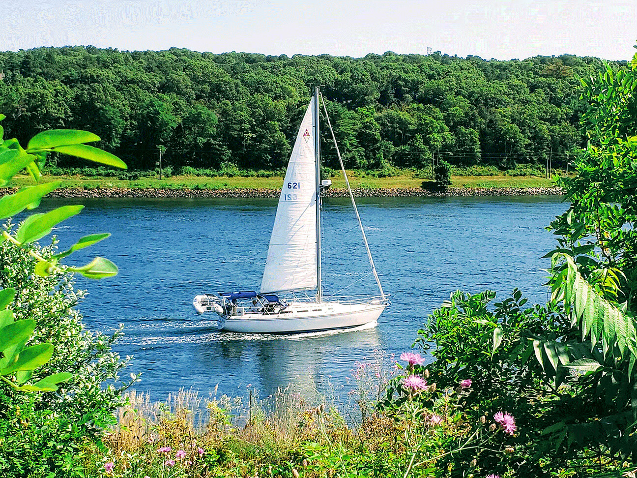 "Cape Cod Sailboat" by Anna Minner