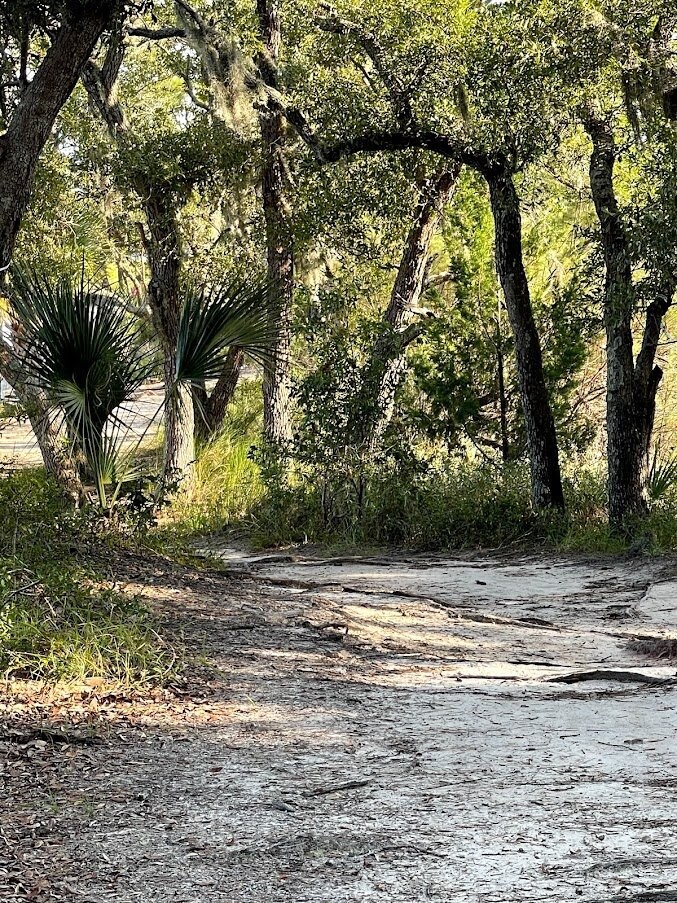 Daniel Island 019 by Amie Thigpen