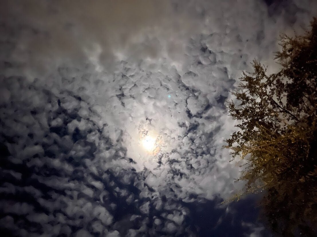 Daniel Island 016 by Amie Thigpen Daniel Island 016 by Amie Thigpen