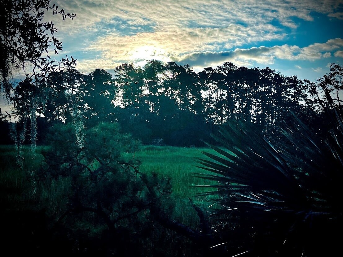 Daniel Island 015 by Amie Thigpen