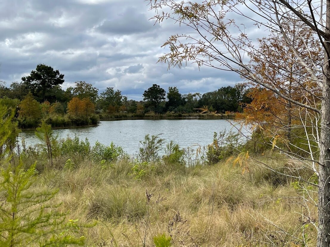 Daniel Island 017 by Amie Thigpen Daniel Island 017 by Amie Thigpen