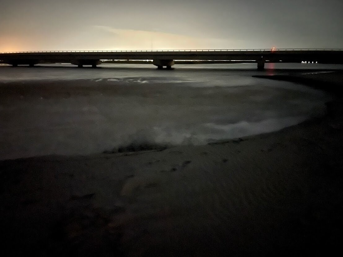 Daniel Island 021 by Amie Thigpen Daniel Island 021 by Amie Thigpen