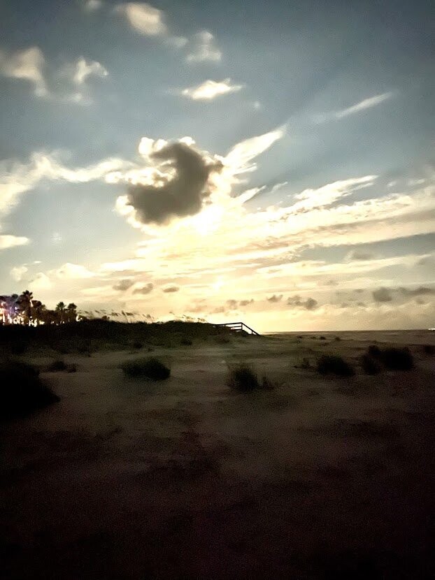 Daniel Island 020 by Amie Thigpen